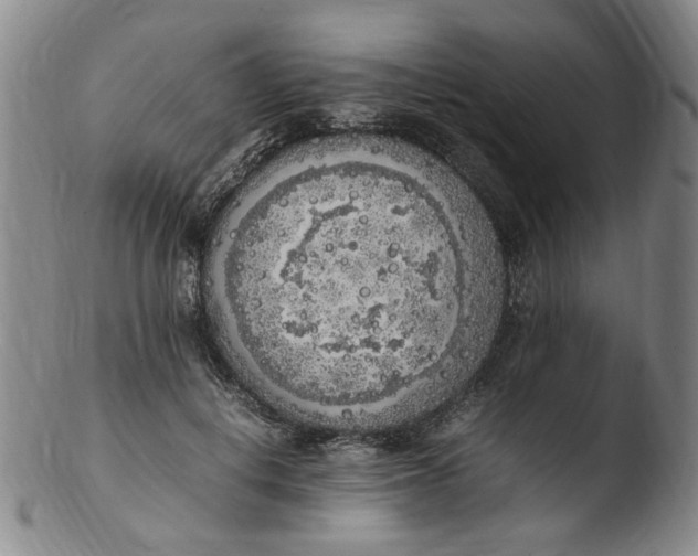 X0000103430648200809261731