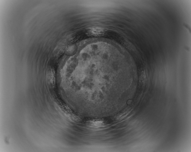 X0000103430651200809261731