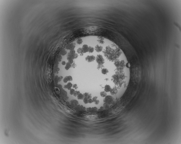 X0000103430653200809261732