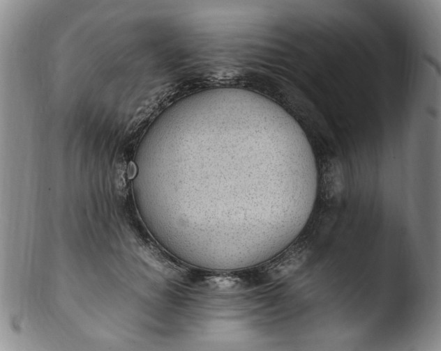 X0000103430654200809261732