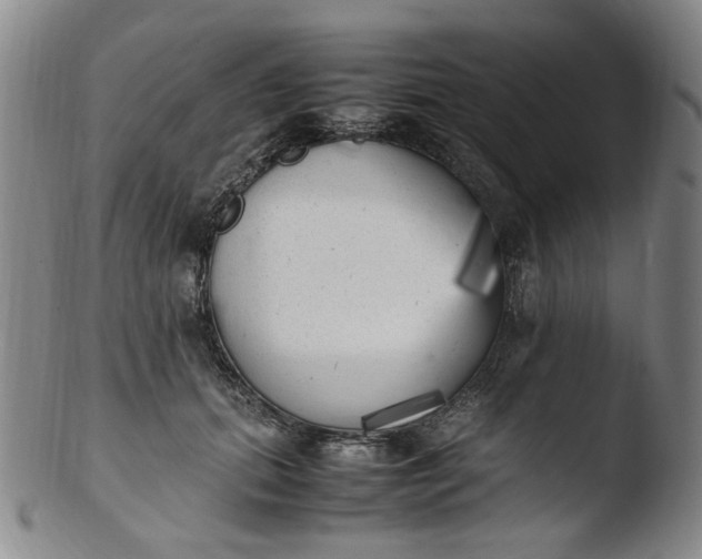 X0000103430655200809261732