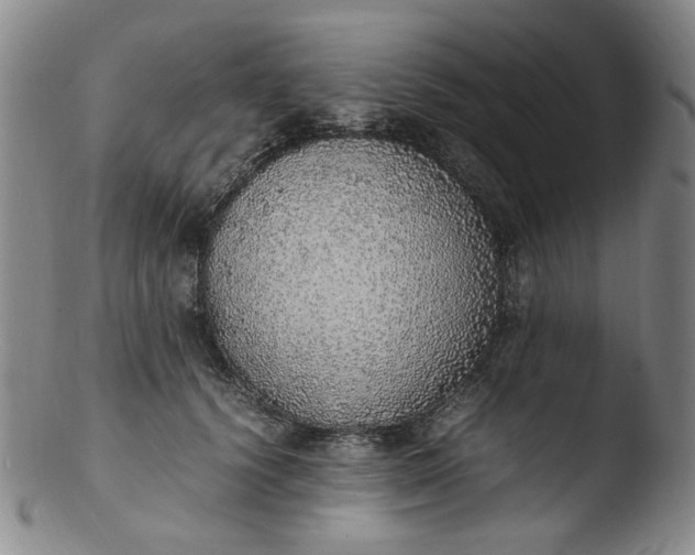 X0000103430656200809261732