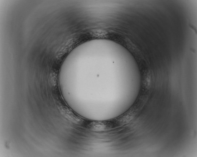 X0000103430658200809261732