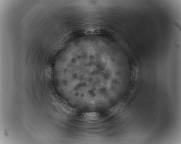 X0000103430659200809261732