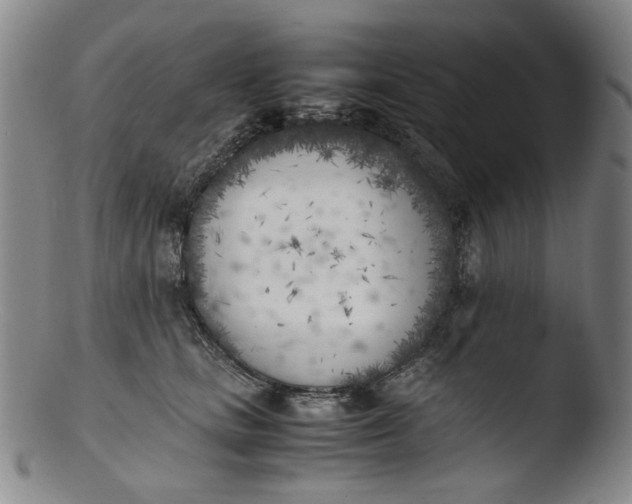 X0000103430661200809261732