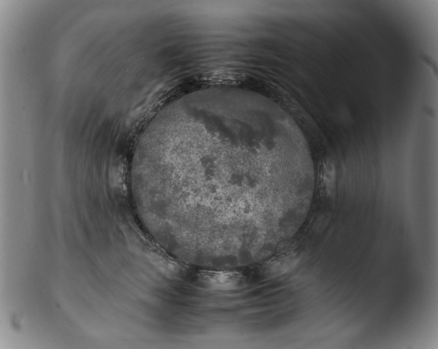 X0000103430663200809261732