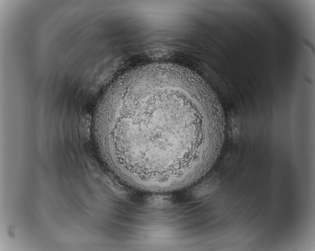 X0000103430664200809261732