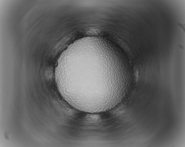 X0000103430665200809261732