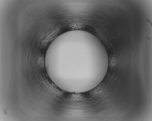 X0000103430666200809261732