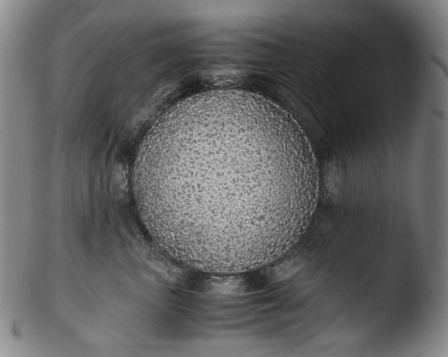 X0000103430667200809261732