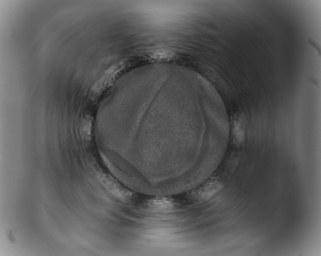 X0000103430668200809261732