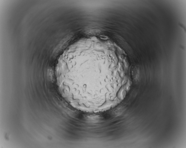 X0000103430669200809261732