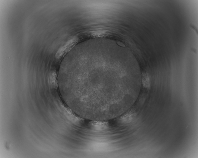 X0000103430670200809261732