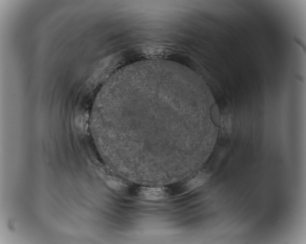 X0000103430671200809261732