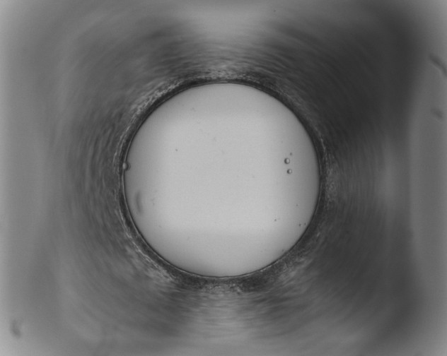 X0000103430673200809261731