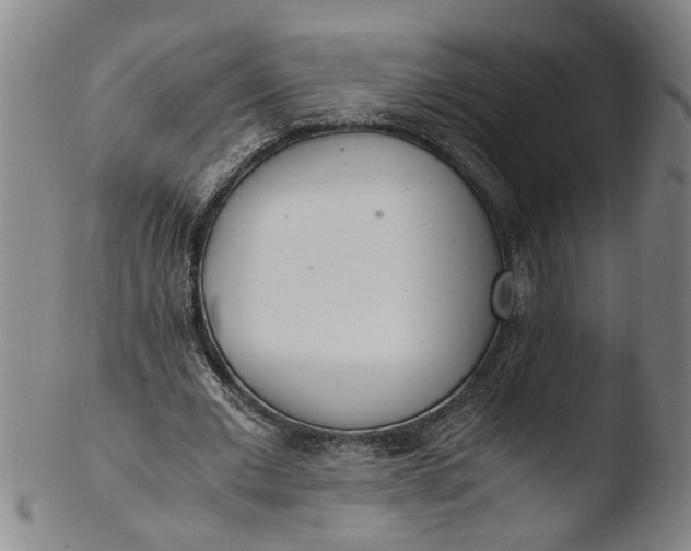 X0000103430677200809261731