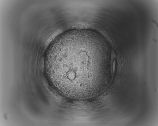 X0000103430679200809261731