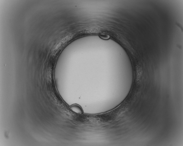 X0000103430681200809261731