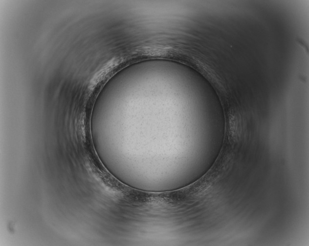 X0000103430682200809261731