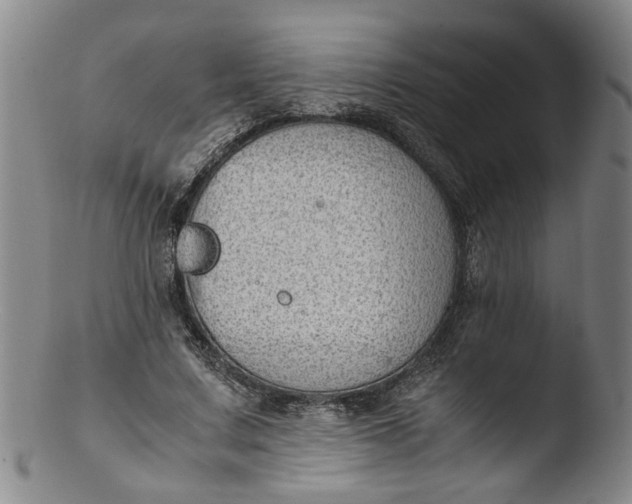 X0000103430683200809261731