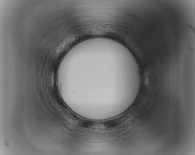 X0000103430685200809261731