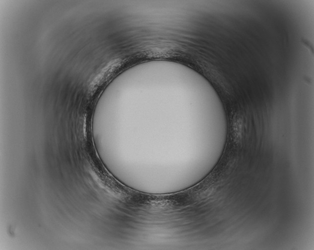 X0000103430686200809261731