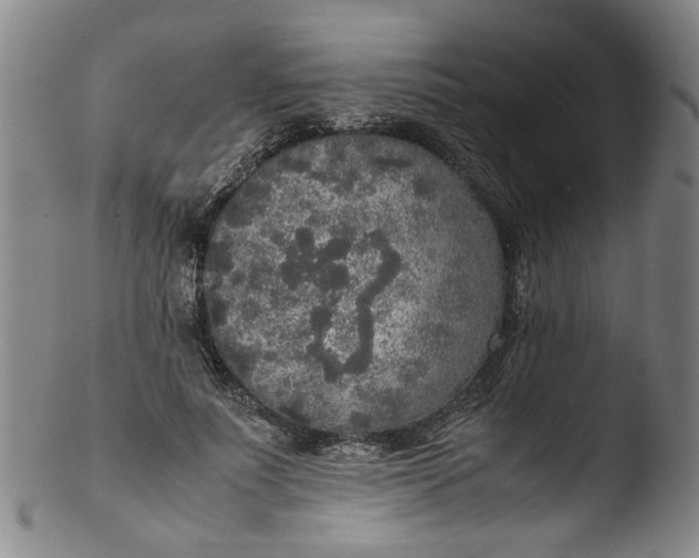 X0000103430691200809261731