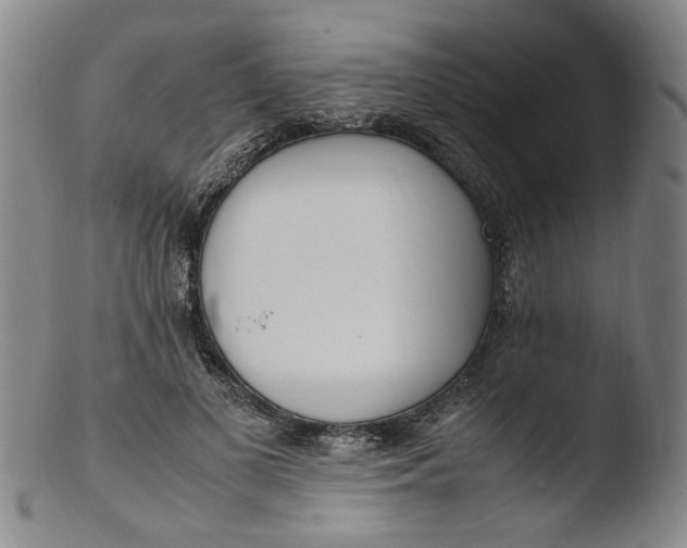 X0000103430693200809261731