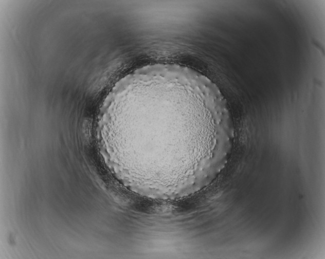 X0000103430695200809261731