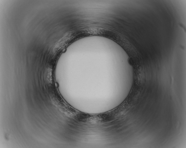 X0000103430696200809261731