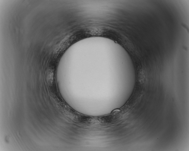 X0000103430697200809261731