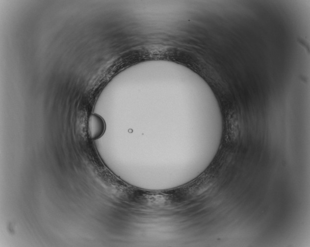 X0000103430698200809261731