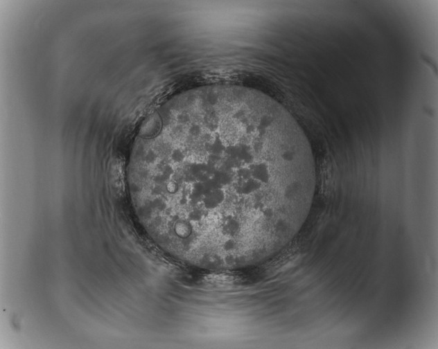 X0000103430699200809261731