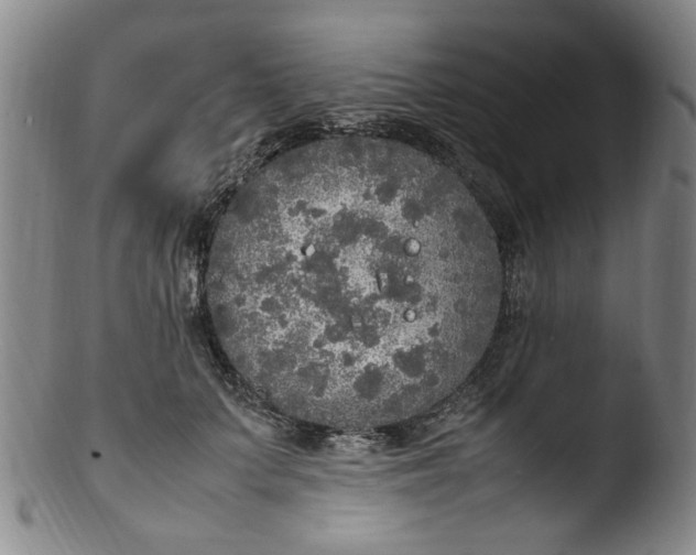 X0000103430703200809261731