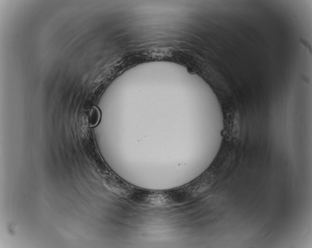 X0000103430704200809261731