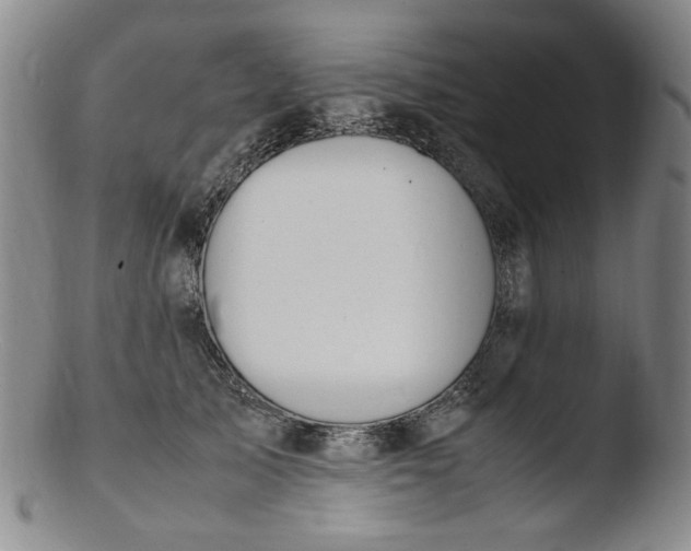 X0000103430705200809261731