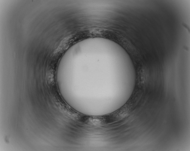 X0000103430706200809261731