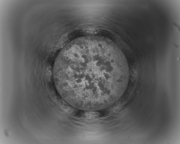 X0000103430707200809261731