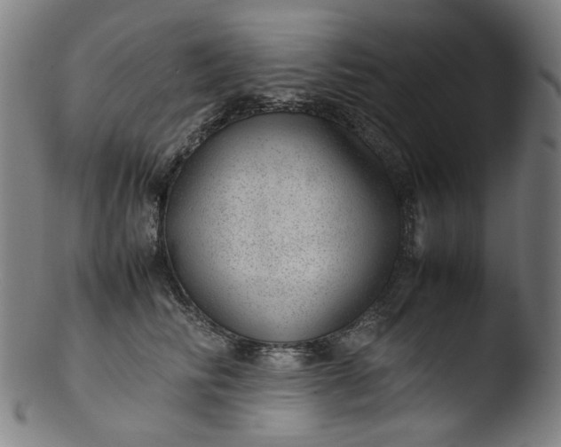 X0000103430710200809261731