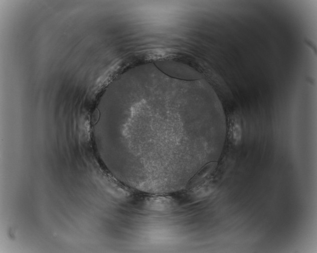 X0000103430716200809261731