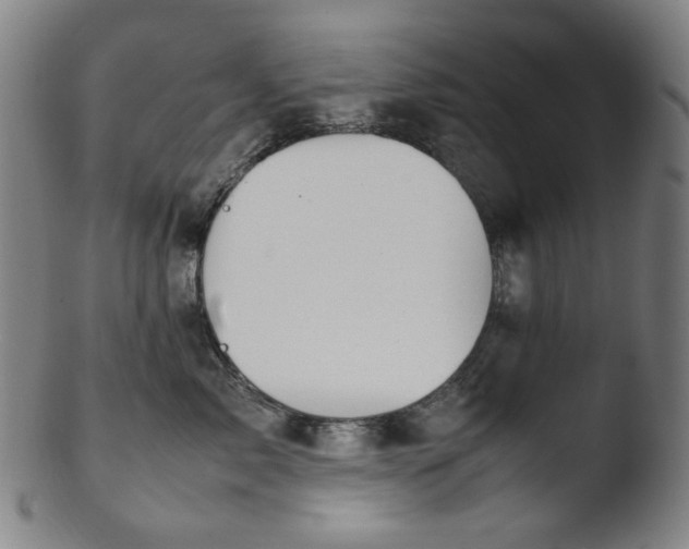 X0000103430717200809261731