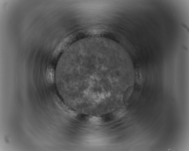 X0000103430718200809261731