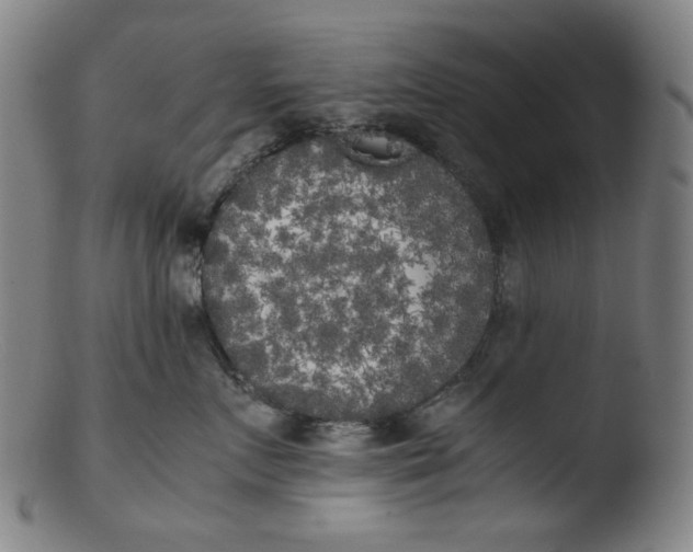 X0000103430719200809261730