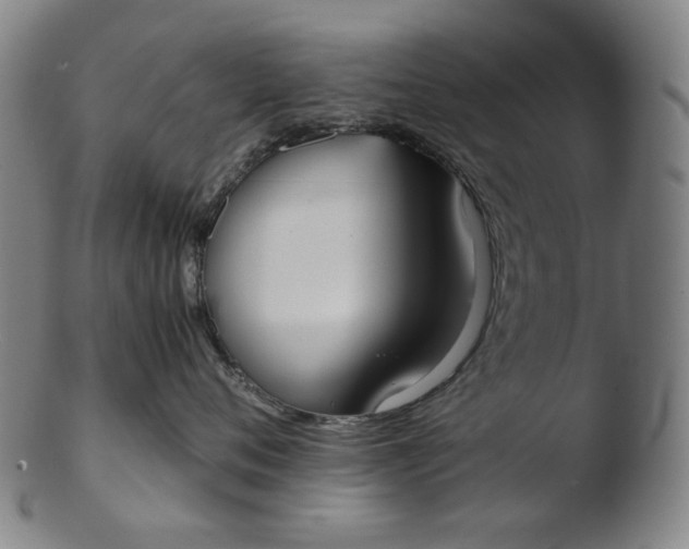 X0000103430720200809261730