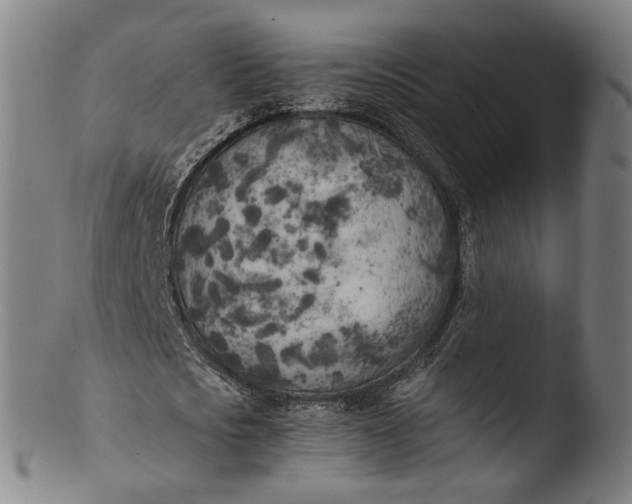 X0000103430721200809261730