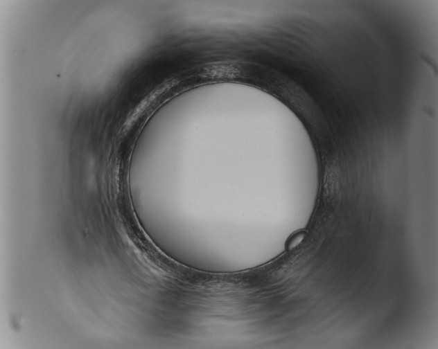 X0000103430722200809261730