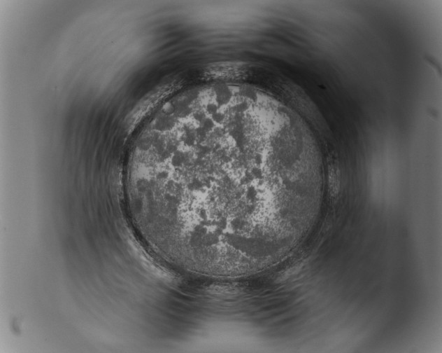 X0000103430725200809261730