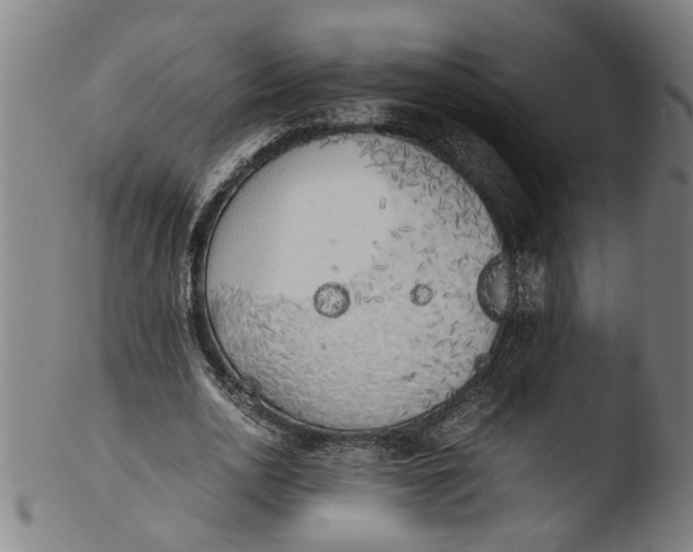 X0000103430726200809261730