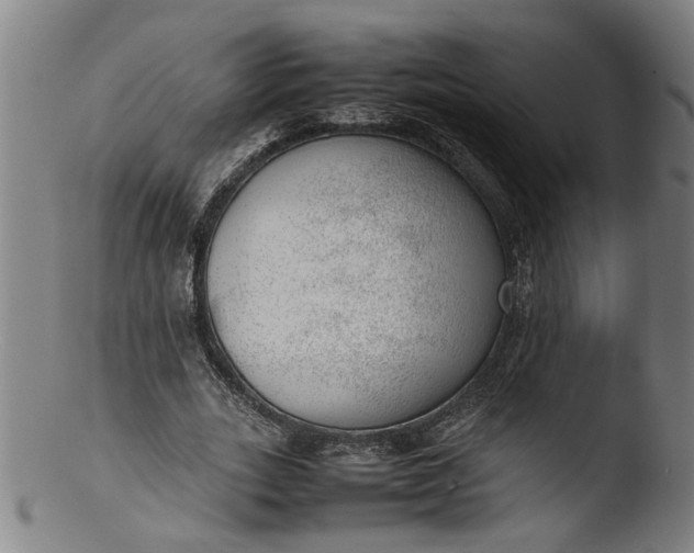 X0000103430727200809261730