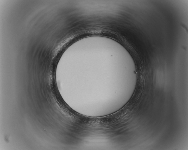 X0000103430728200809261730